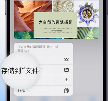 深圳apple维修中心分享iPhone文件应用中存储和找到下载文件