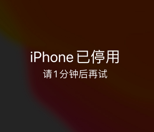 深圳苹果手机维修分享:iPhone 显示“不可用”或“已停用”怎么办？还能保留数据吗？ 