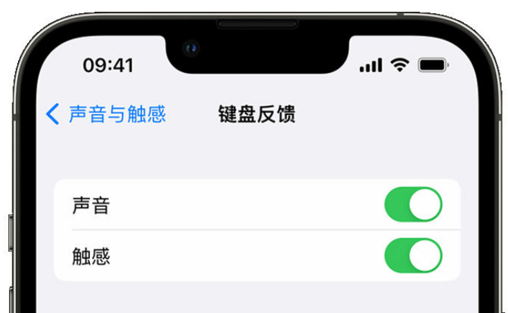 深圳苹果手机维修分享iPhone 14触感键盘使用方法 