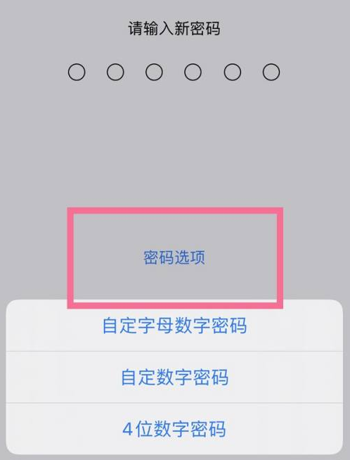 深圳苹果14维修分享iPhone 14plus设置密码的方法 