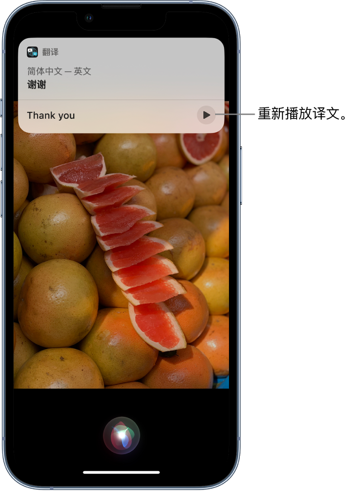 深圳苹果14维修分享 iPhone 14 机型中使用 Siri：了解 Siri 能帮你做什么 