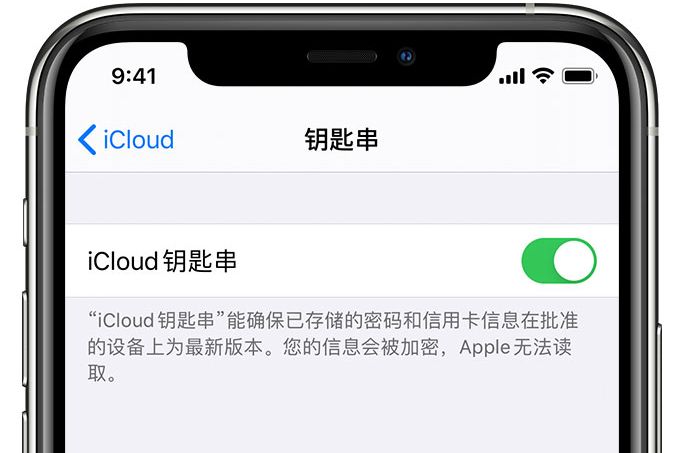 深圳苹果手机维修分享在 iPhone 上开启 iCloud 钥匙串之后会储存哪些信息 