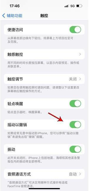 深圳苹果手机维修分享iPhone手机如何设置摇一摇删除文字 